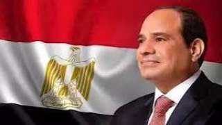 الرئيس السيسي: الدولة المصرية ثابتة...