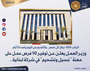 وزير العمل يعلن عن توفير...