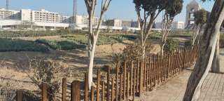 جامعة حلوان تنفذ المرحلة الخامسة...