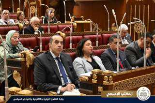 المستشار محمود فوزي يحضر جلسة...