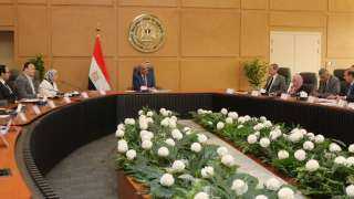 وزير الكهرباء يتابع مستجدات تنفيذ...