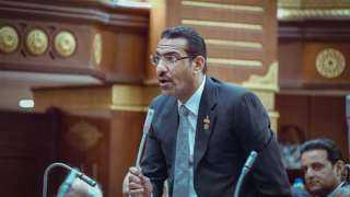 برلماني: إسرائيل تهرب من السلام...