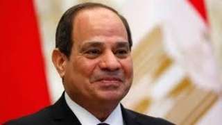 الرئيس السيسى يؤكد أهمية ملف...