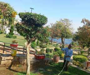 بناءاً على توجيهات محافظ أسوان...