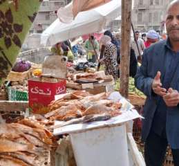 صحة المنيا: حملات رقابية مكثفة...
