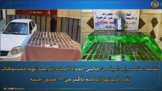 ضبط عناصر اجرامية من جالبى...