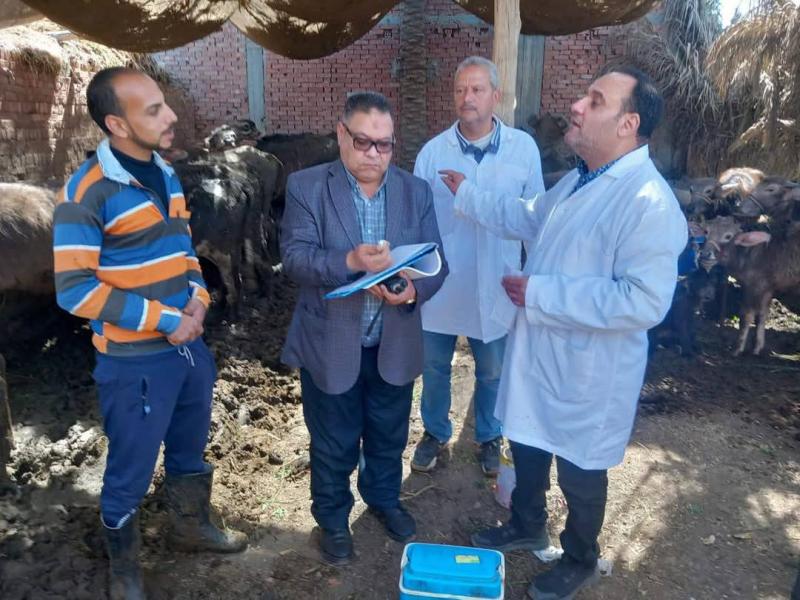 محافظ الدقهلية: تحصين حوالي 12 ألف رأس ماشية ضد الحمى القلاعية في أول أيام الحملة