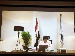 نائب وزير الصحة تشارك افتراضيًا...