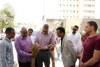 الدكتور إسماعيل كمال يتفقد صومعة...