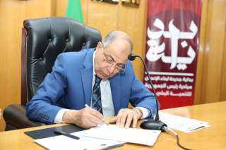 محافظ المنيا يوجه بسرعة توصيل...