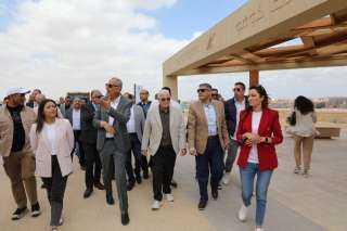 مستشار رئيس الجمهورية للتنمية المحلية...