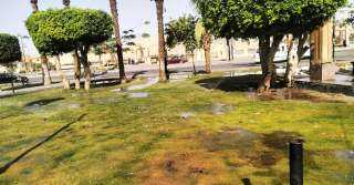 تنفيذاً لتوجيهات محافظ أسوان .....