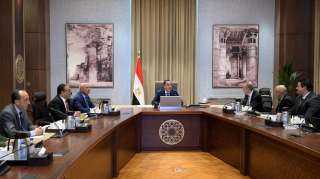 رئيس الوزراء: استثمارات بـ15 مليون...