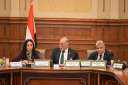مايا مرسي تشارك في اجتماع...