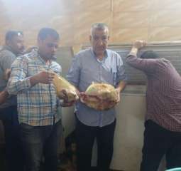 محافظ أسيوط: ضبط أسمدة زراعية...