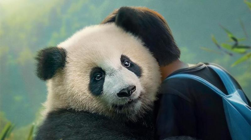 بوستر فيلم