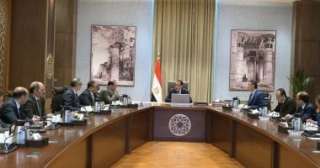 السيسي يبحث مع رئيسة برلمان...