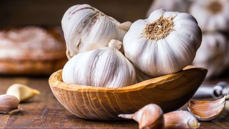فوائد الثوم المذهلة.. كيف يحمي قلبك ويعزز مناعتك؟