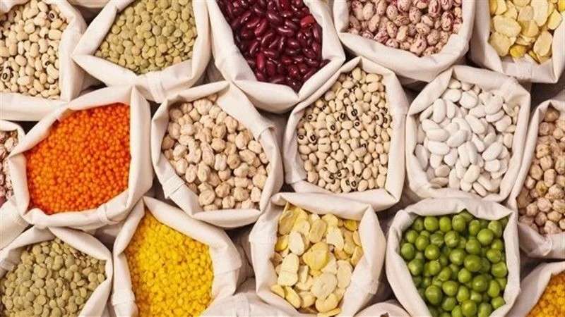 البقوليات
