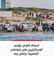 هجوم مفاجئ لأسماك القرش يثير...