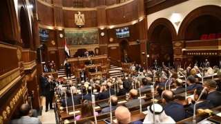 أعمال الجلسة العامة لمجلس الشيوخ.....