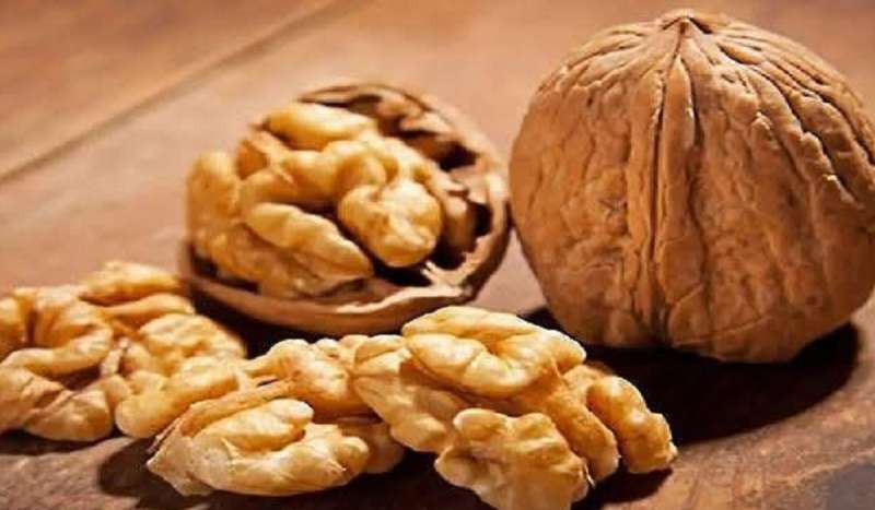 فوائد الجوز