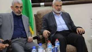 عامان من التضليل الممنهج .....