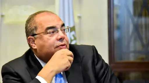 دكتور محمود محيي الدين: النظام...