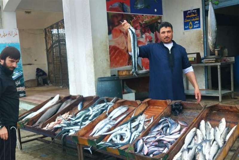 أسعار الأسماك في مطروح اليوم 30/4/2025