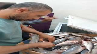 بالتعاون مع الجهات المعنية .....