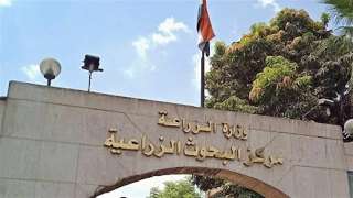 أنشطة إرشادية مكثفة من مركز...