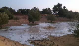 سيول محدودة تجري بأودية وسط...
