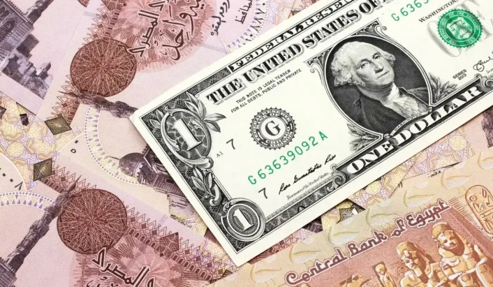 ثبات واستقرار.. سعر الدولار أمام الجنيه المصري اليوم الثلاثاء 6 مايو 2025