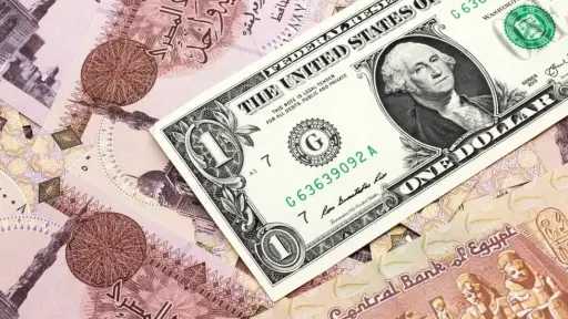 ثبات واستقرار.. سعر الدولار أمام...