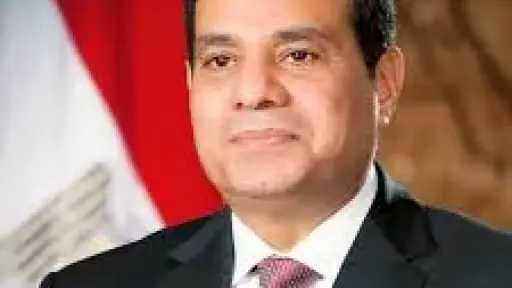 الرئيس ”السيسي” يوجه البوصلة الاقتصادية.....