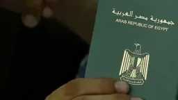 الأخبار