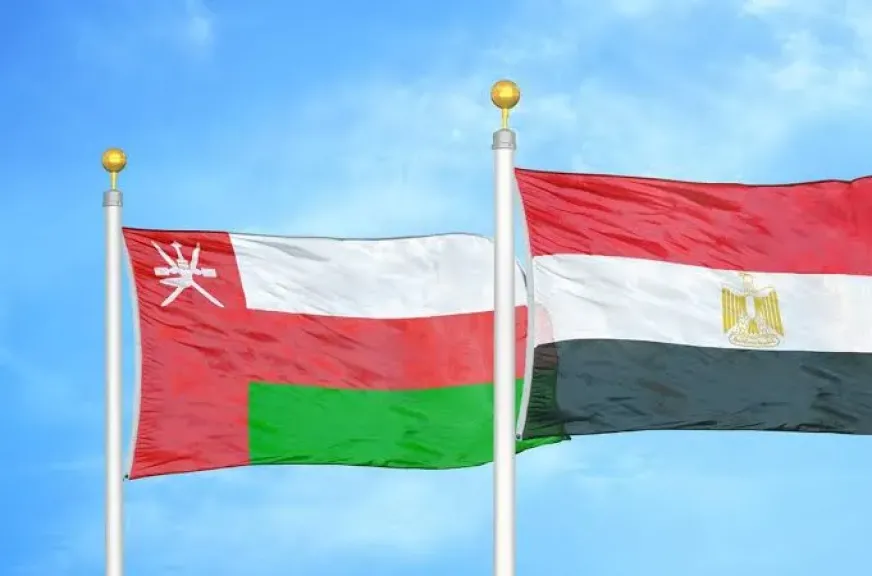 وساطة مصر وعمان بالتنسيق مع الأمم المتحدة أوقفت الاعتداءات على اليمن