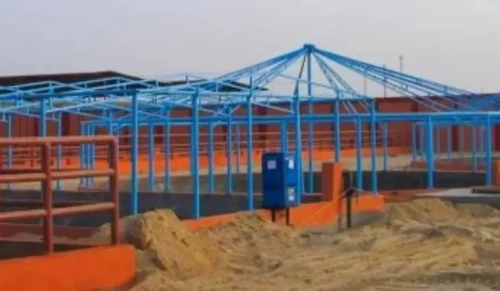 الأقصر تخطو نحو التنمية المستدامة.. تشغيل مزرعة نموذجية للإنتاج السمكي والحيواني والزراعي في الرزيقات