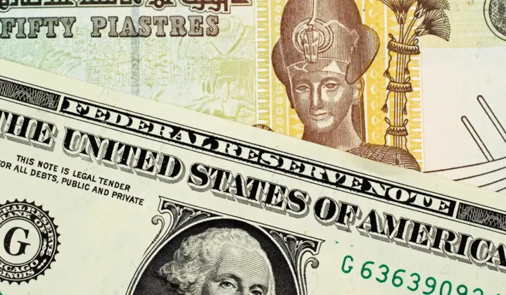استقرار نسبي في سعر الدولار مقابل الجنيه المصري خلال تعاملات السبت 10 مايو 2025