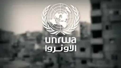 وكالة الأونروا: ما يزيد عن...