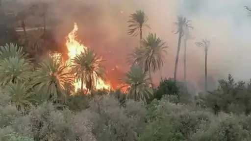 في دقائق معدودة… حريق يفتك...