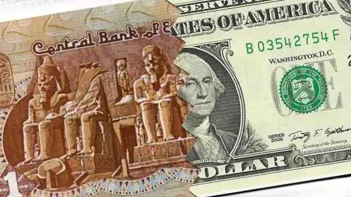 استقرار سعر الدولار أمام الجنيه...