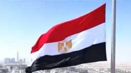 الأخبار