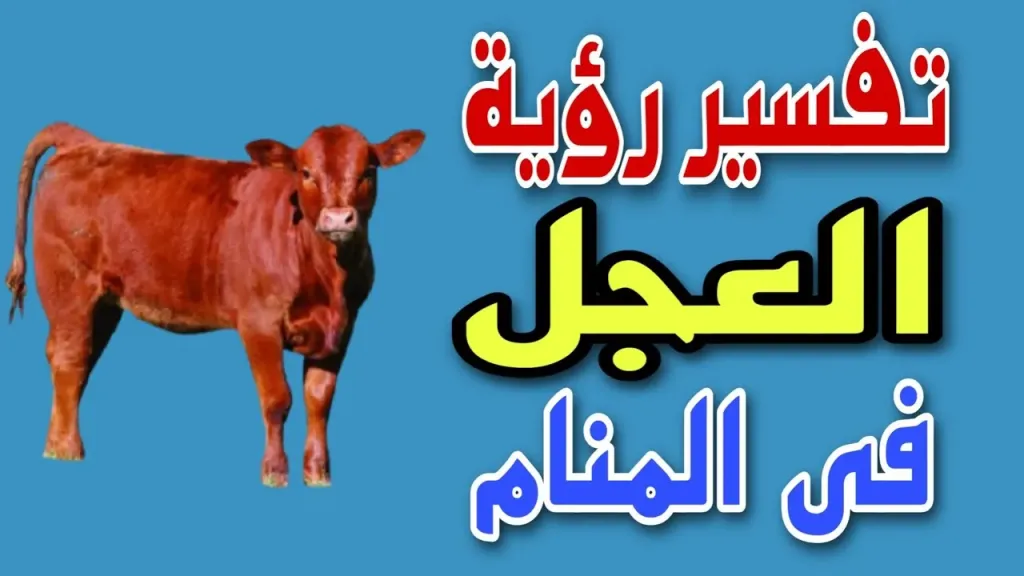 تفسير حلم رؤية العجل في المنام للنابلسي والإمام الصادق للرجل والمرأة