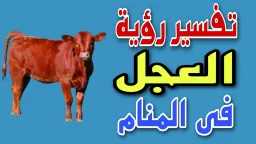 منوعات