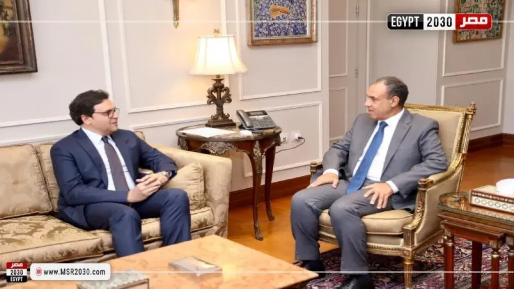وزير الخارجية ووزير الثقافة يدرسان التعاون مع ثقافات الدول الأجنبية