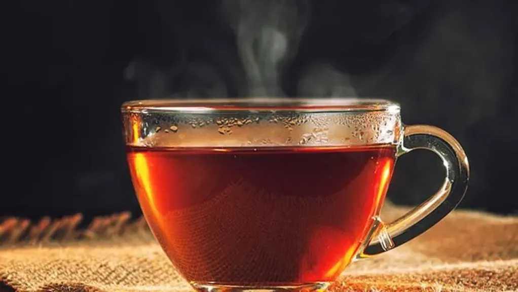 مُنعش ولكن بحذر: كل ما تحتاج معرفته عن فوائد وأضرار الشاي