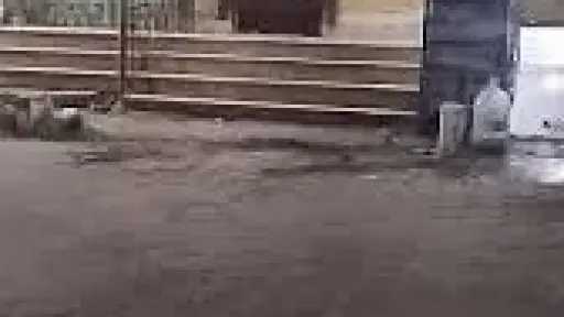 فوضى تبدأ بسرقة وتنتهي على...