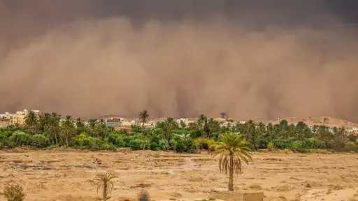 العواصف الترابية: تهديد صحي عالمي...
