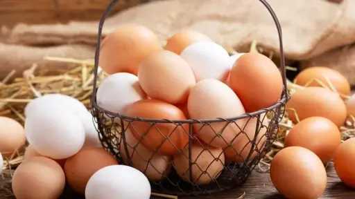 الكرتونة البلدي بكام؟ تراجع ملحوظ...